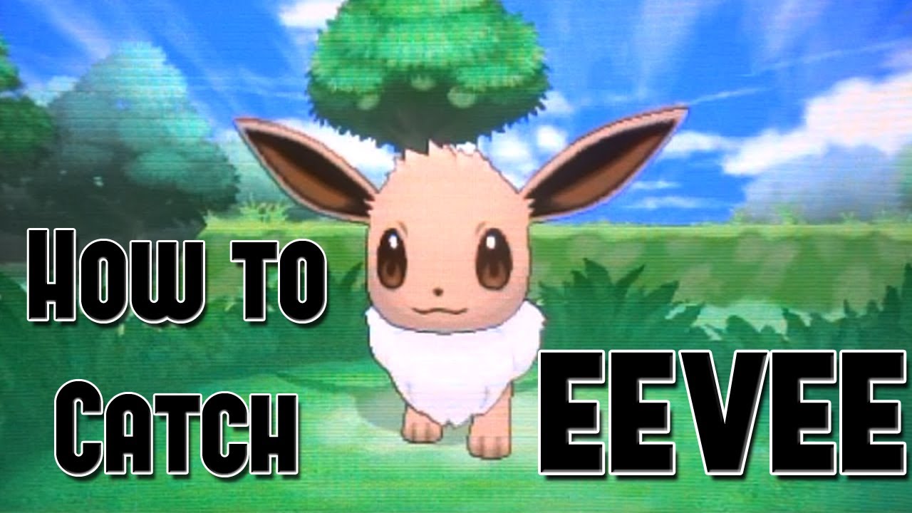 How to Catch Eevee