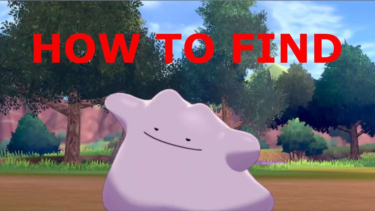 How To Find Ditto In Pokemon Sword &  Shield