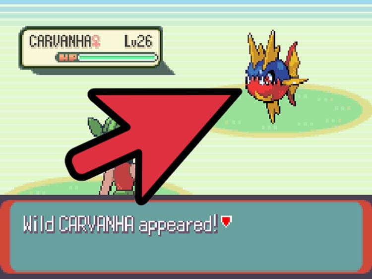 How to Fish in Pokémon Emerald: 6 Steps (with Pictures)