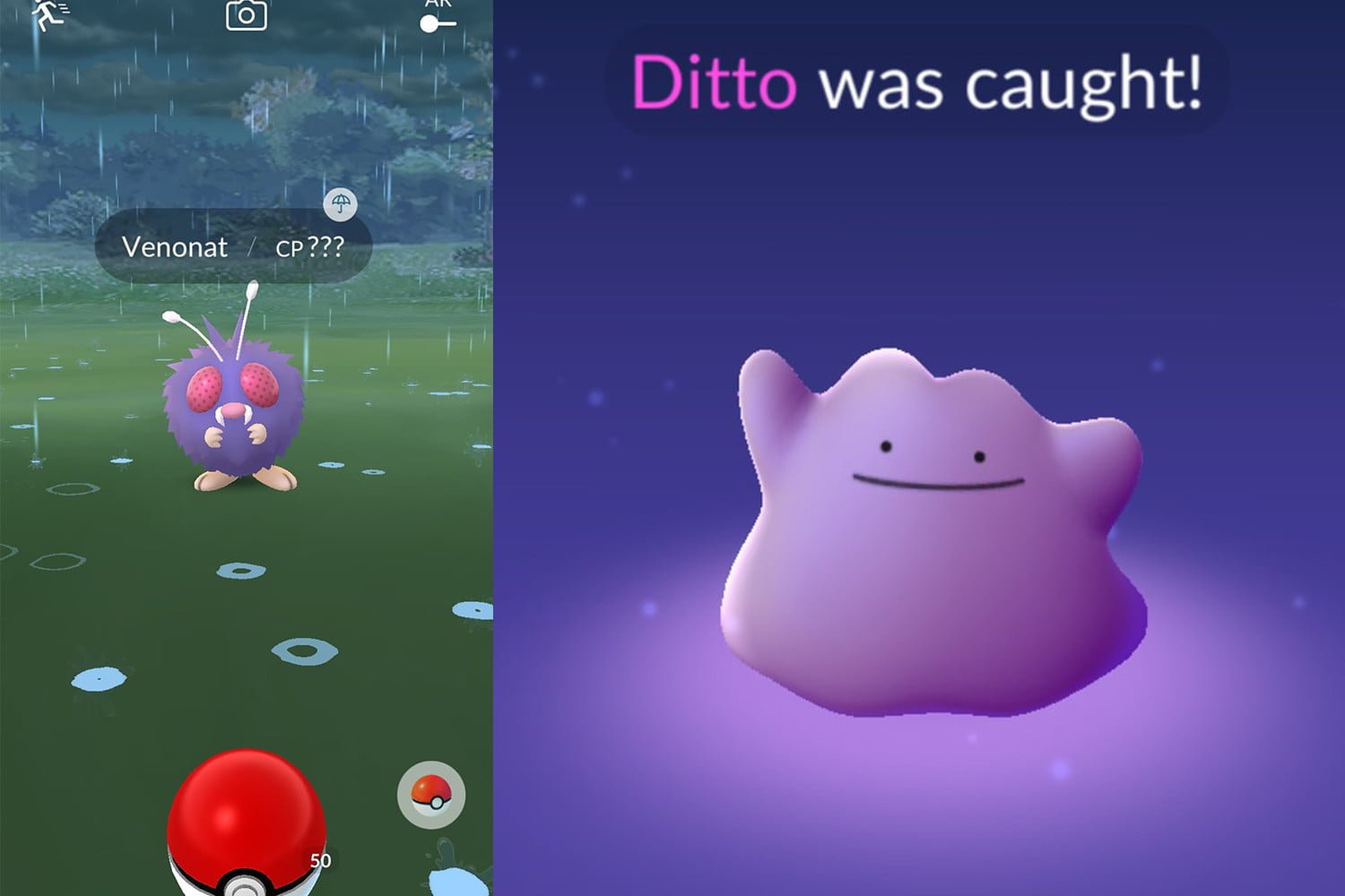 How to Get a Ditto in Pokemon Go?