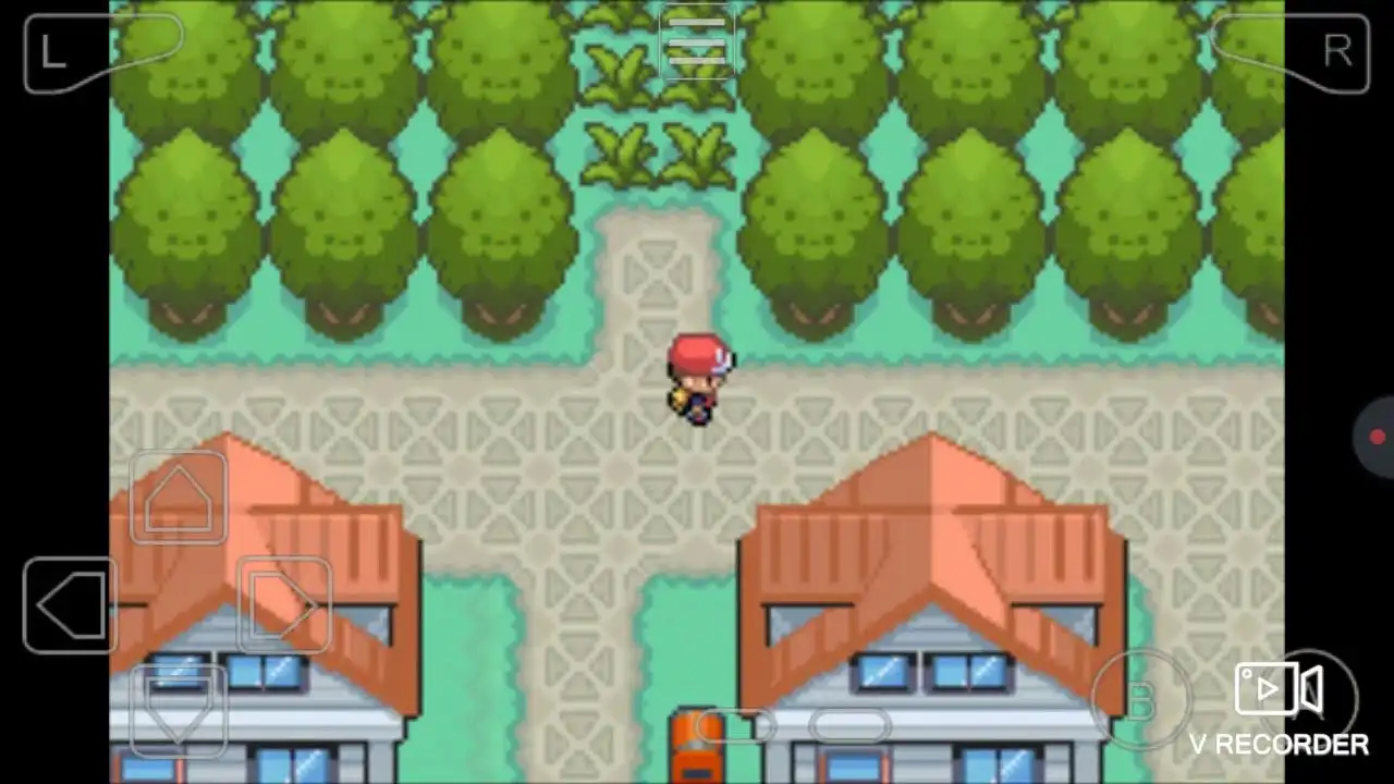 Location of #1gym in Pokemon super fire red