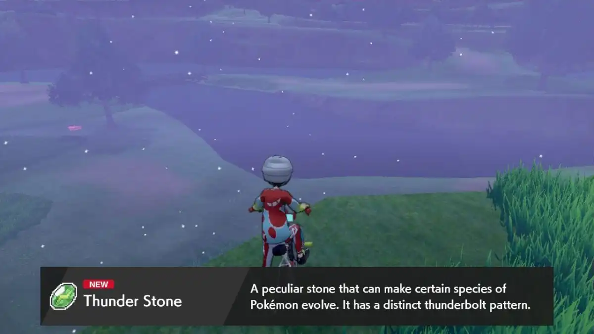 PokÃ©mon Sword and Shield: Where To Find Thunder Stones