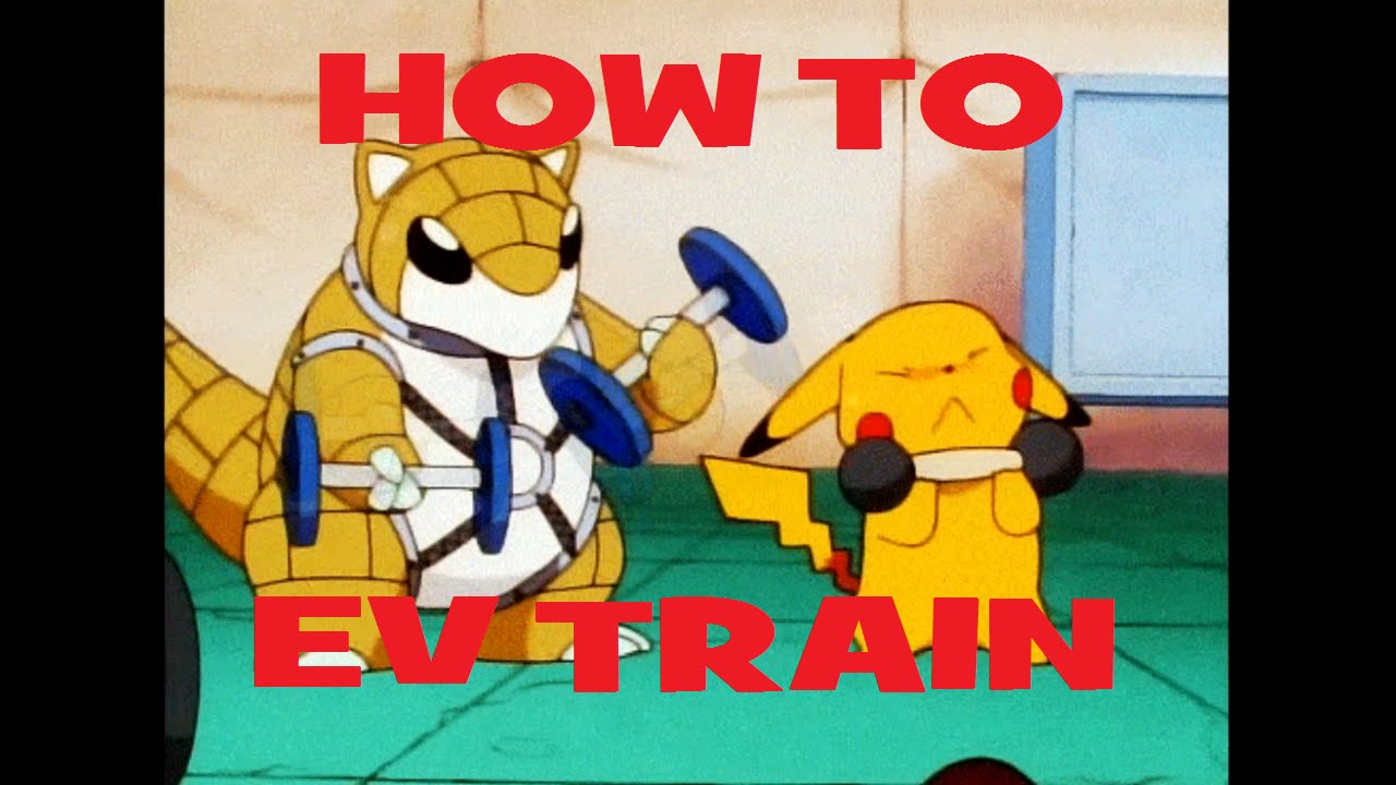Pokemon XY: How To EV Train! (Competitive Battling)