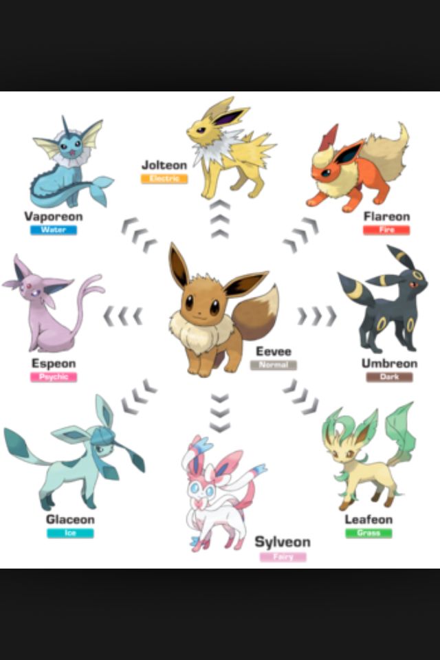 The eeveelutions! How many more can they make?