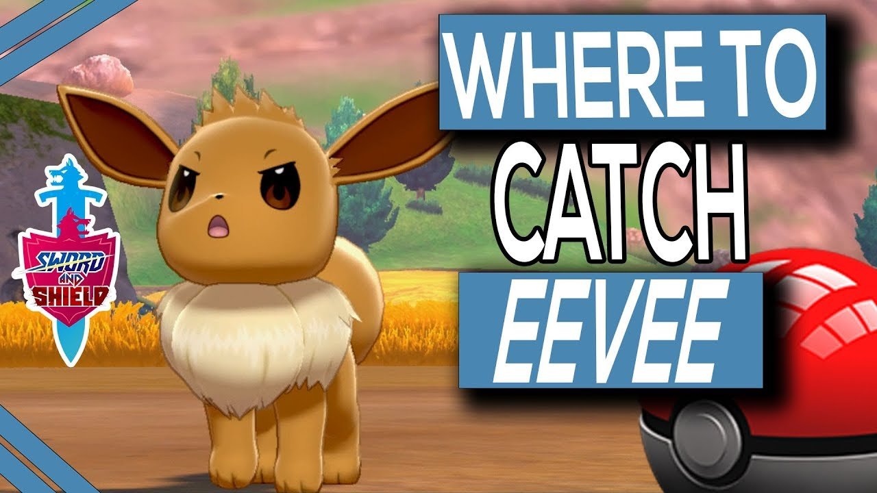 Where To Find Eevee In Pokemon Sword &  Shield