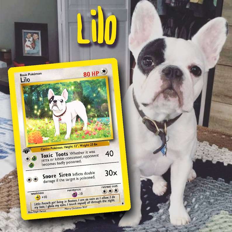 Your Pet as a Pokemon card